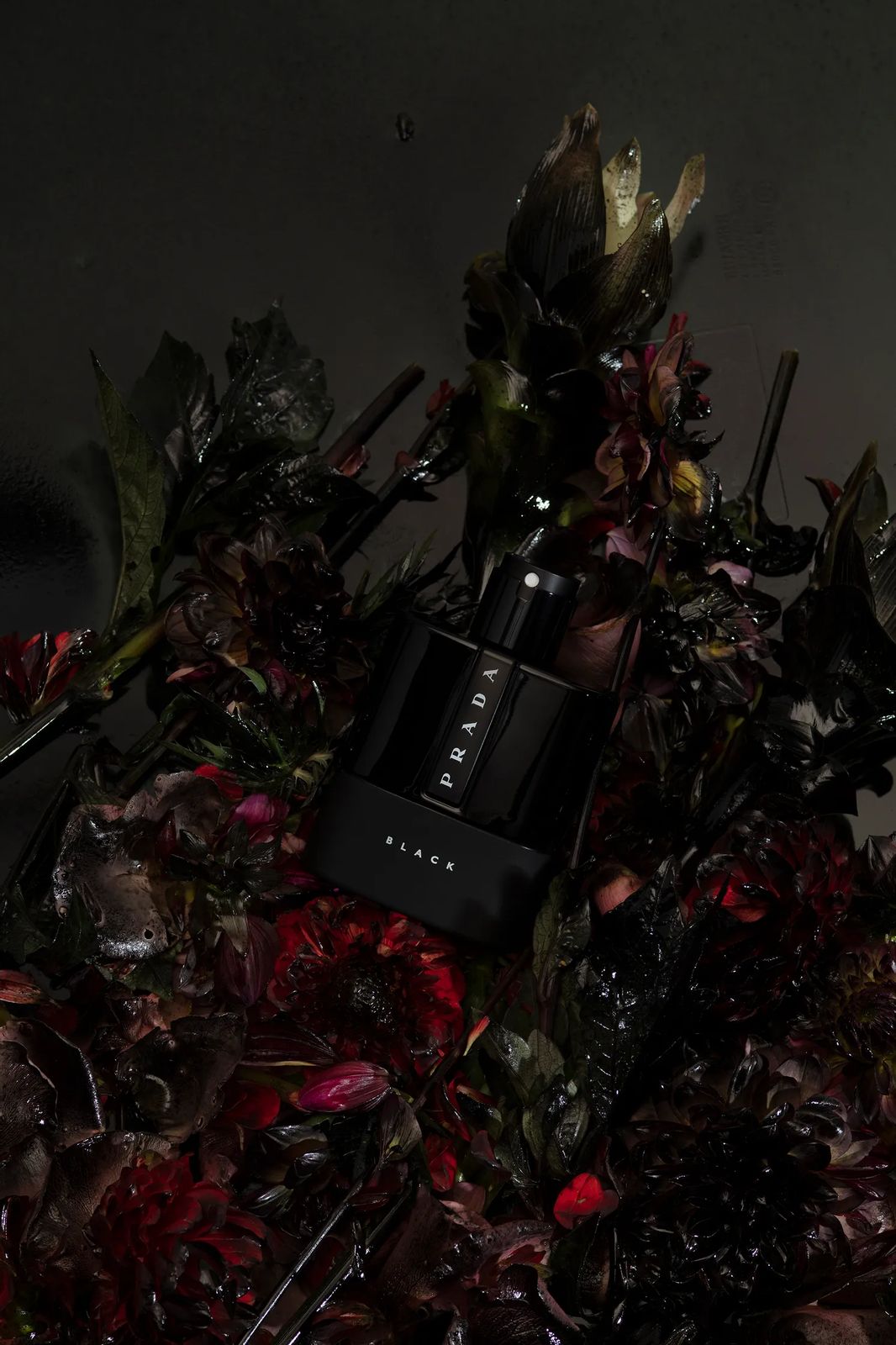 Prada Luna Rossa Black
